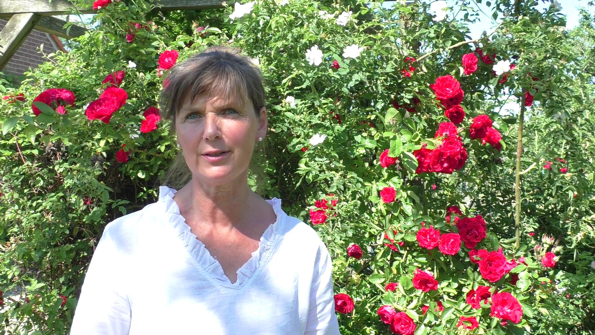 Gartencafé-unterm-Nussbaum